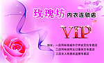 内衣连锁VIP卡