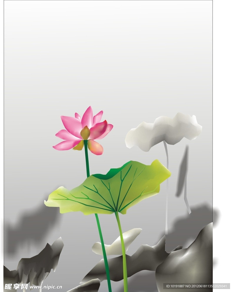 荷花