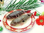 河豚鱼