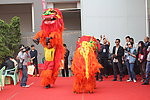 舞狮表演