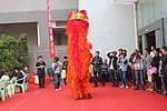 舞狮表演