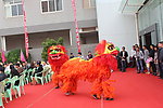 舞狮表演