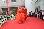 舞狮表演