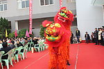 舞狮表演