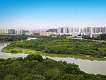 绿色城市风景