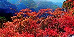 焦作云台山