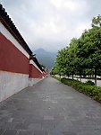红墙绿树