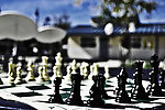 国际象棋