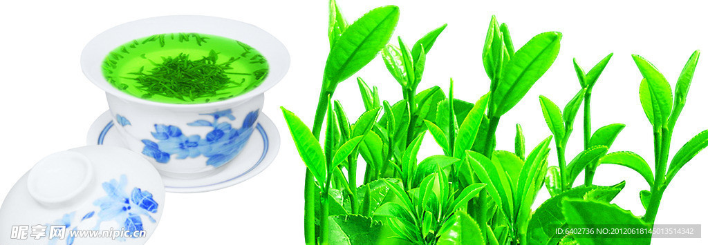 茶叶