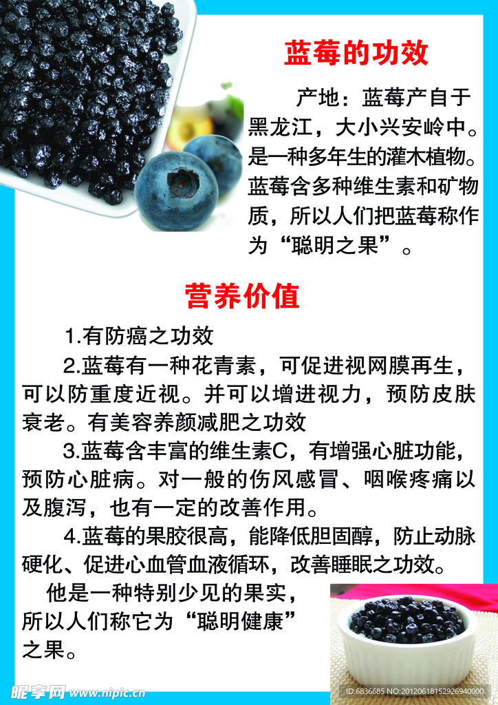 蓝莓广告