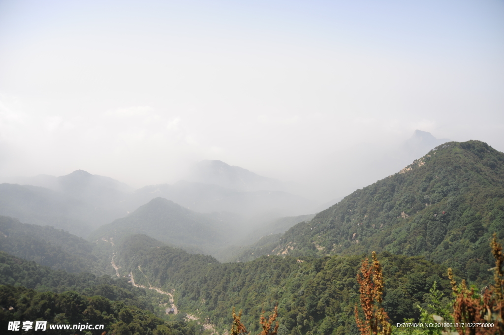 山东泰山