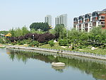小沂河