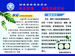 禁毒宣传