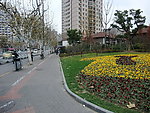 上海街头公园景观参考图片