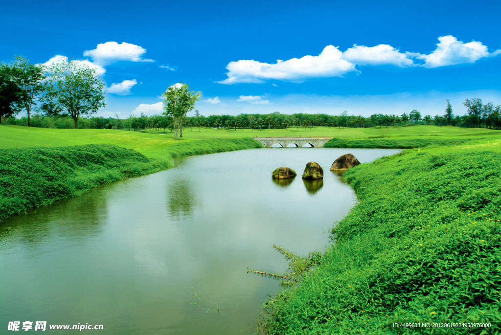 高尔夫球场风景