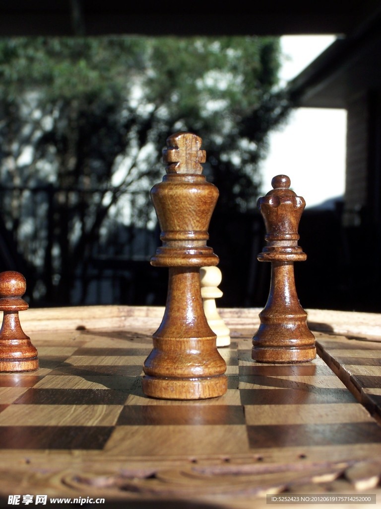 国际象棋