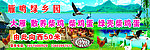 养殖