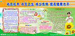 健康教育展板