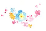 手绘花卉