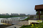 沿岸景观