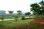 公园风景