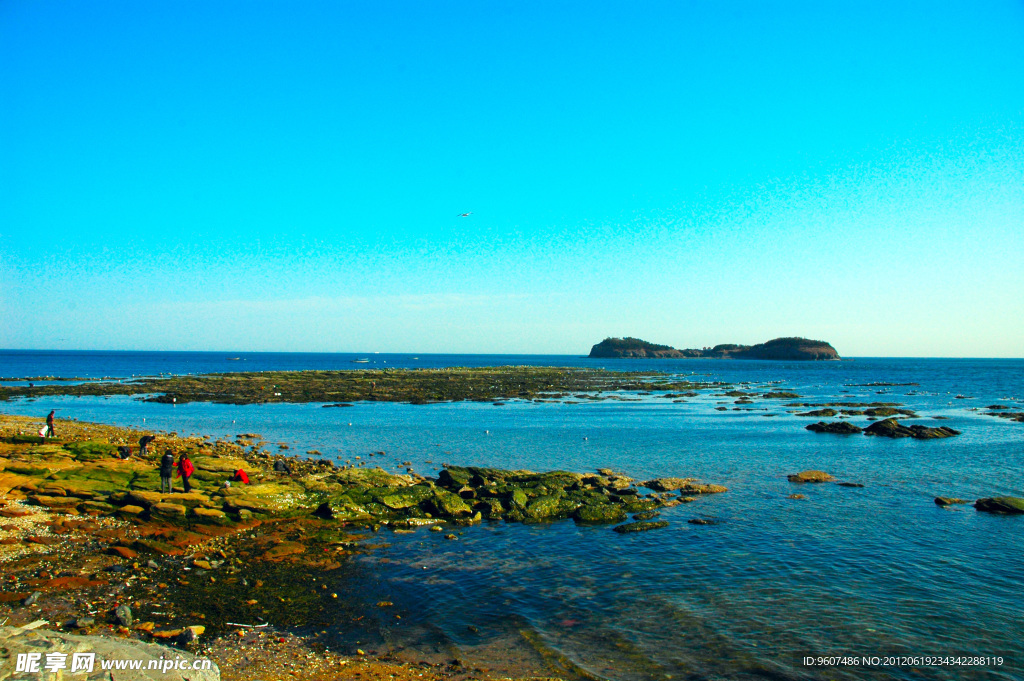 海滩景色