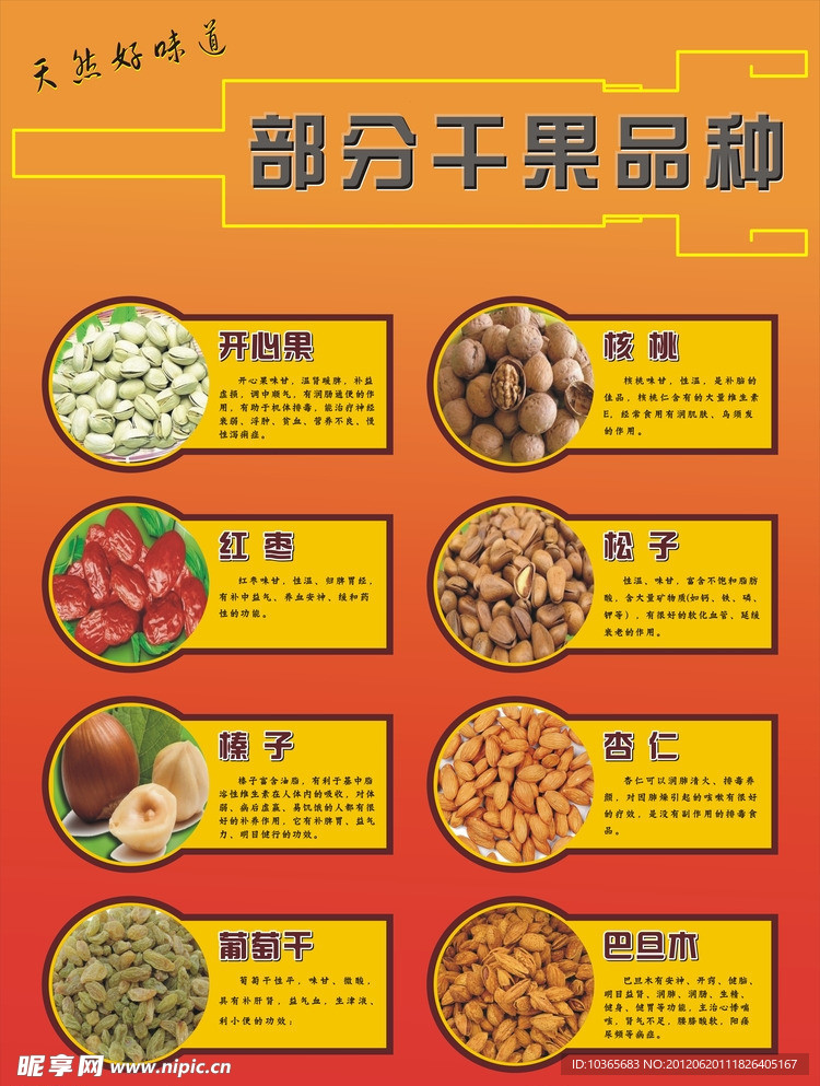 干果品种