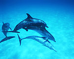海底世界
