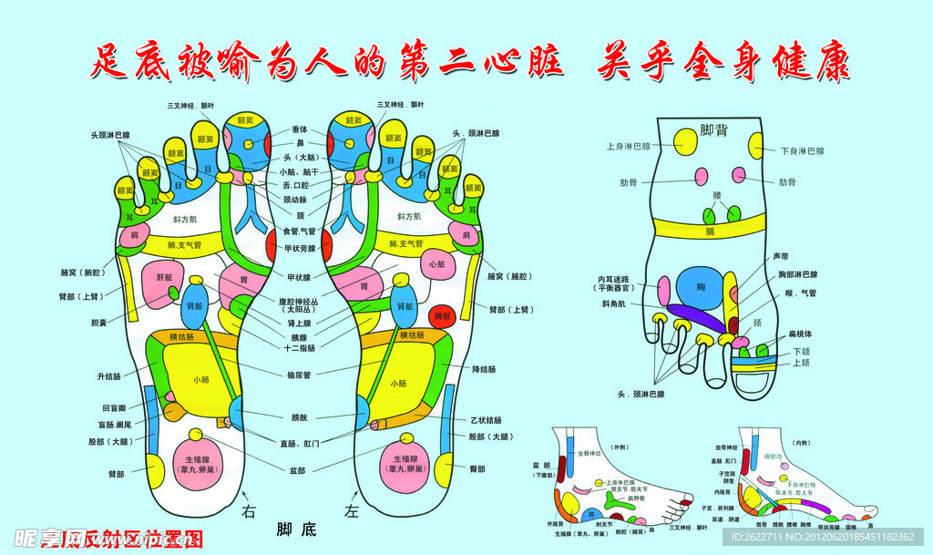 足底被喻为人的第二心脏