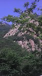 雾灵山