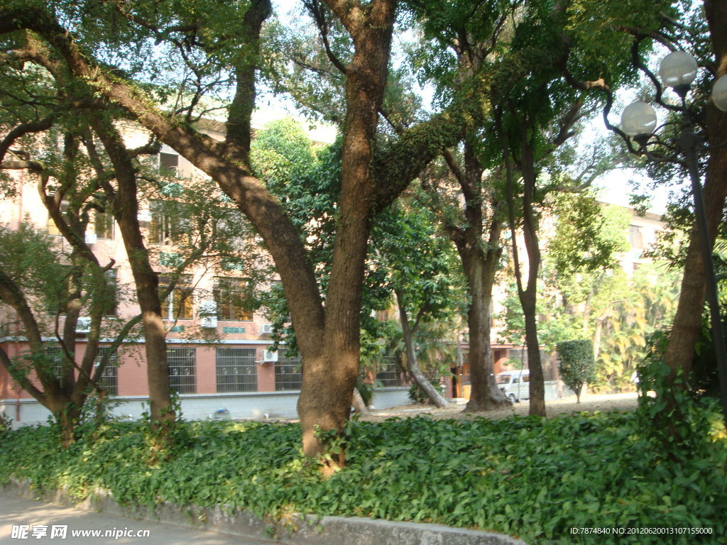 中山大学校园