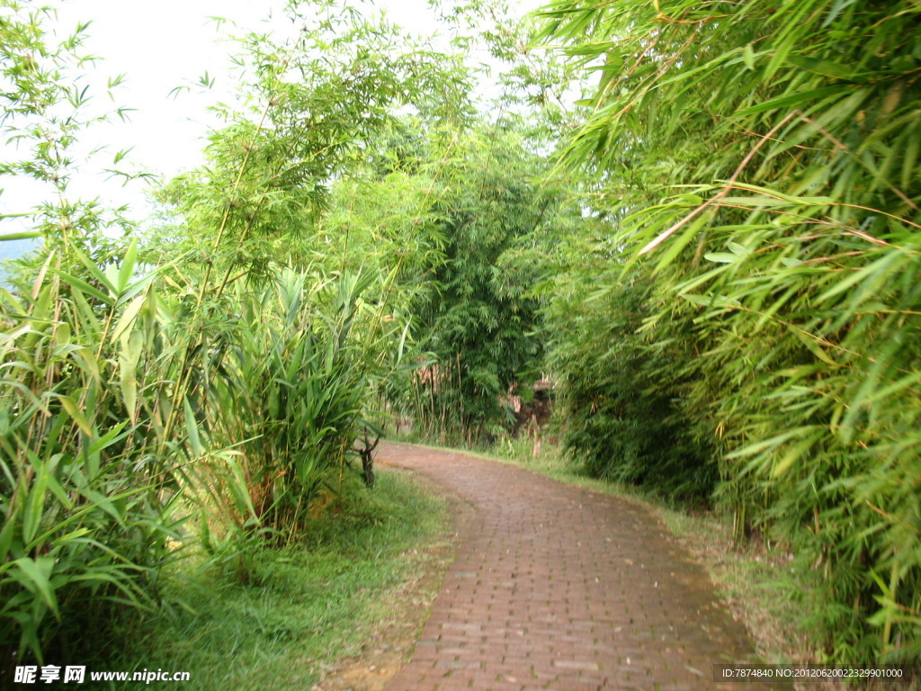 竹林小道