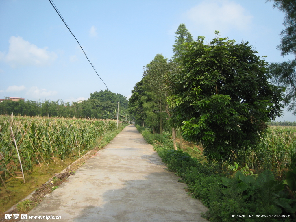 乡间小路