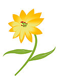小黄花