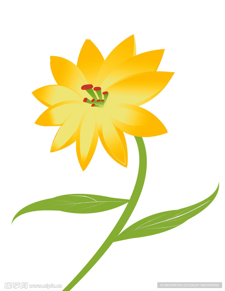 小黄花
