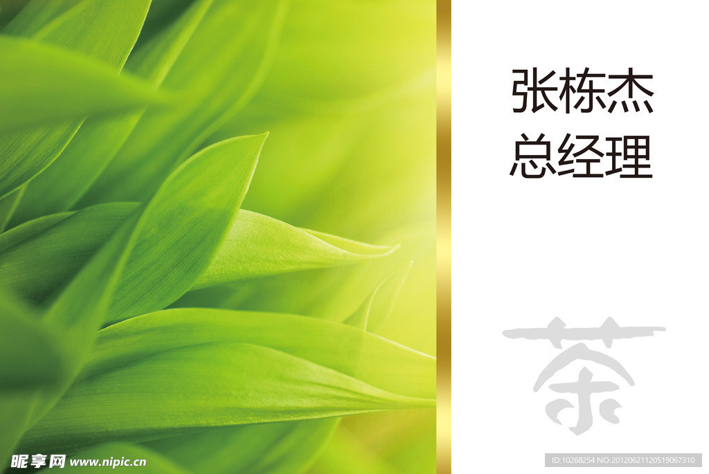 简单名片