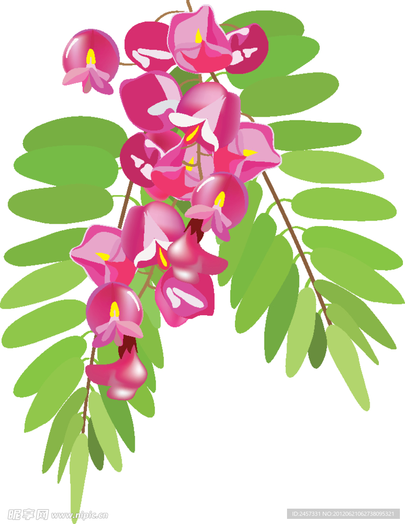 绿叶鲜花