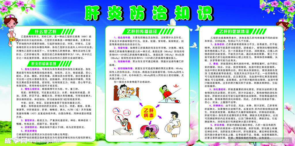 乙肝防治知识