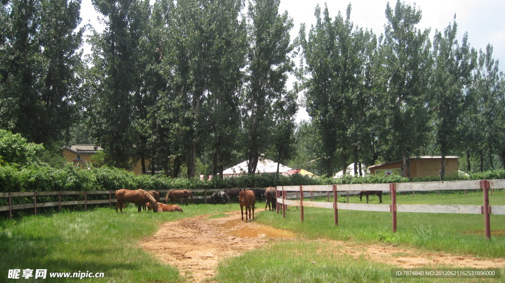 昆明民族文化村