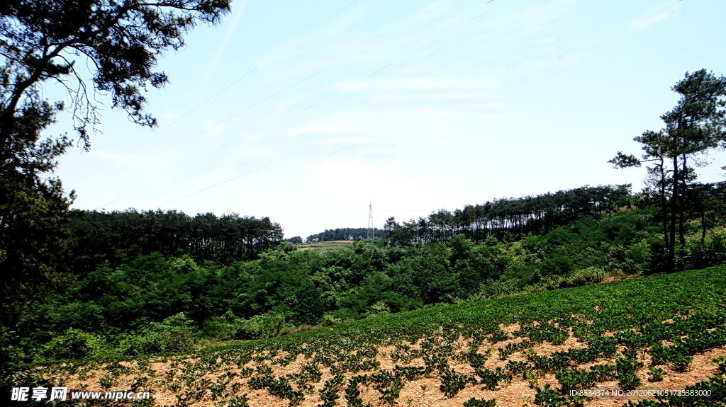 山顶的农田