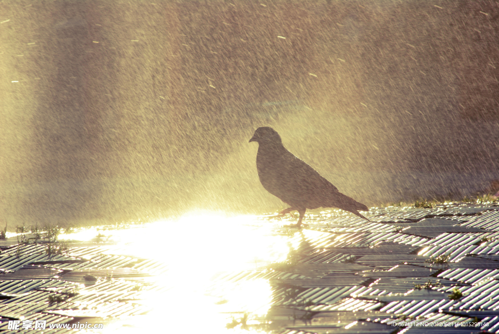 下雨天