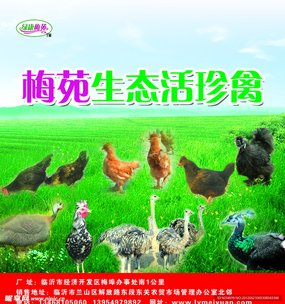 生态活禽