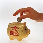 金猪财富
