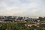 大运场馆