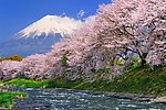 富士山