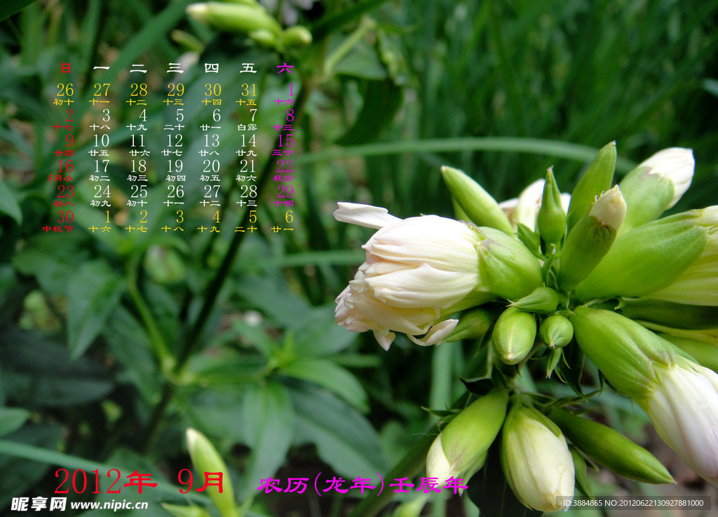 2012年月日历