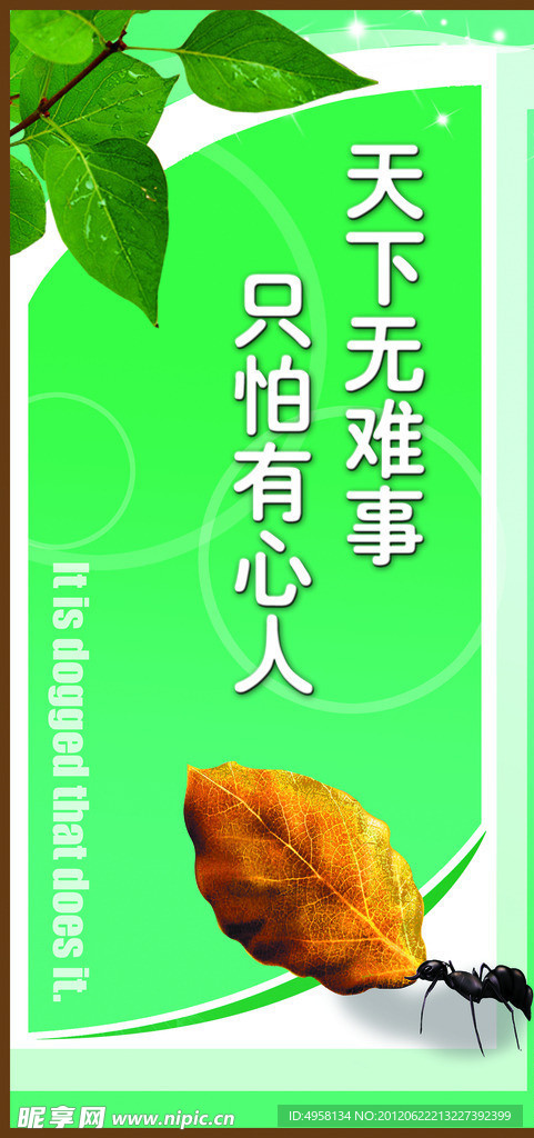 学校挂图