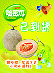 哈蜜瓜