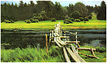 春天风景油画