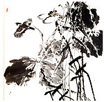 荷花 国画